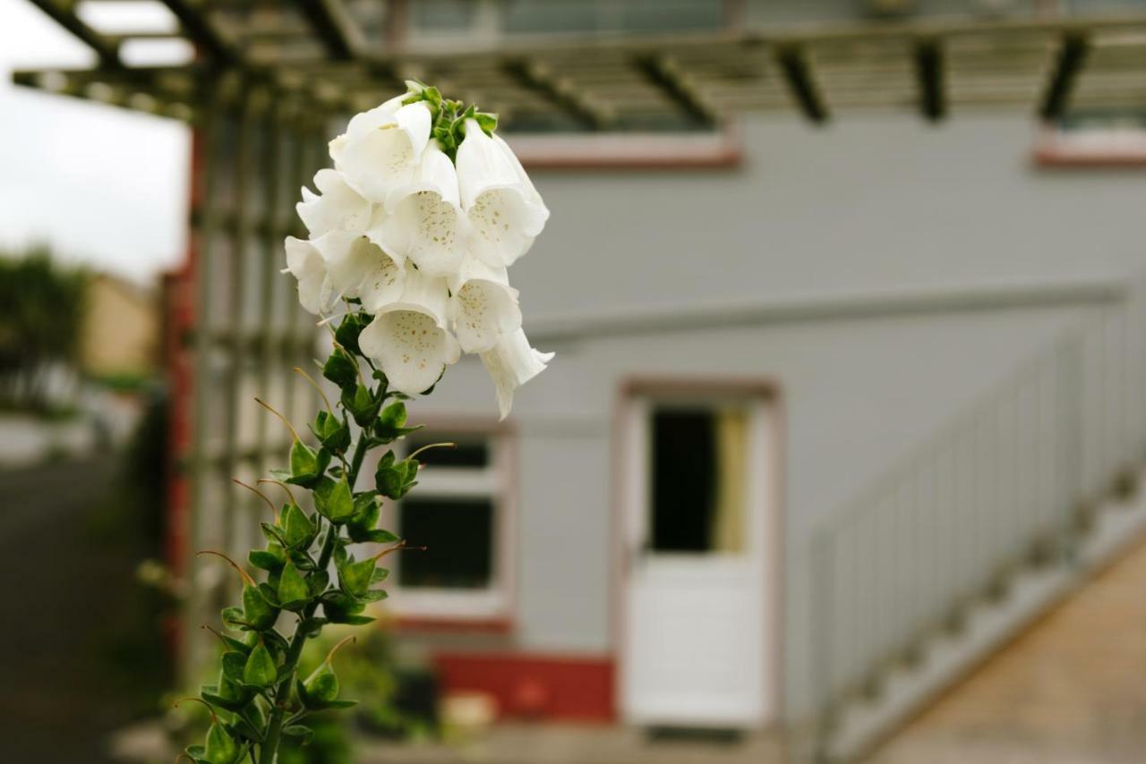 Eagle Heights Bed & Breakfast Enniscrone Eksteriør bilde